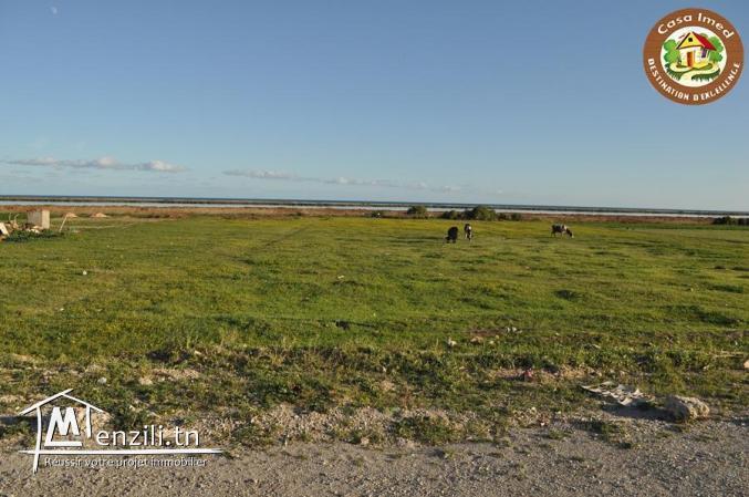 terrain commercial a tazarka