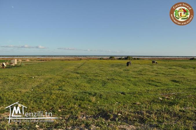 terrain commercial a tazarka