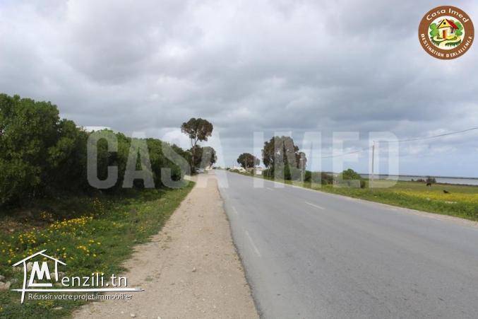 terrain commercial de 274m²