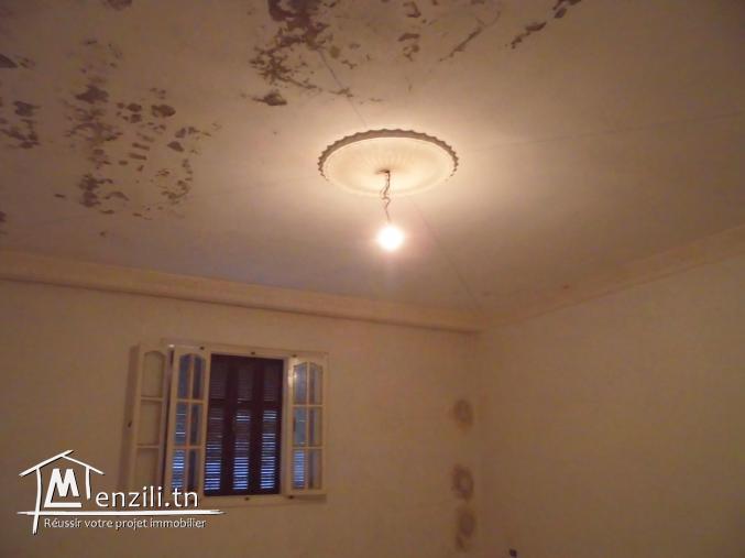 Deux appartement et un garage