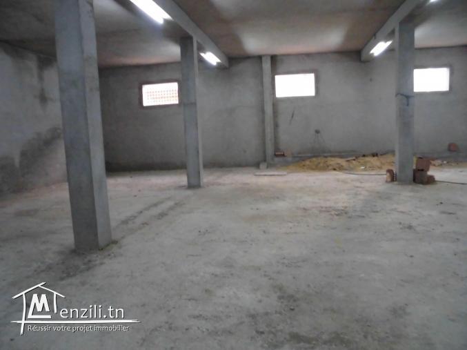 Deux appartement et un garage