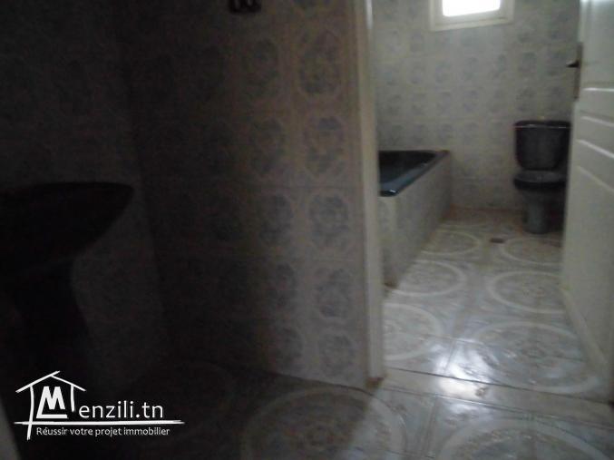 Deux appartement et un garage