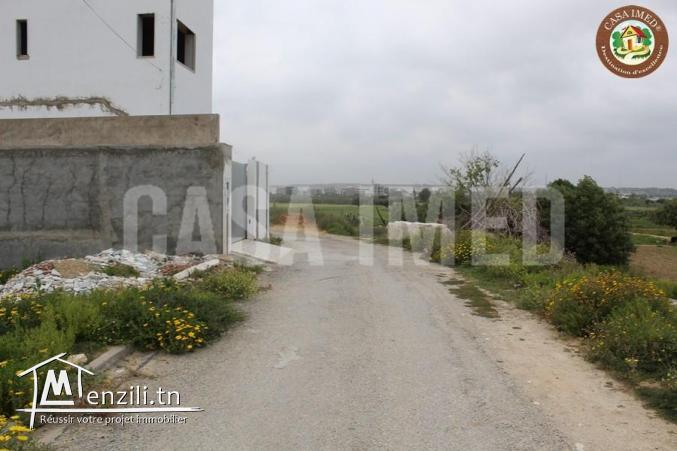 3 lots de terrain a maamoura de 226m²