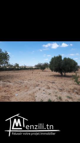 SUPER TERRAIN A VENDRE