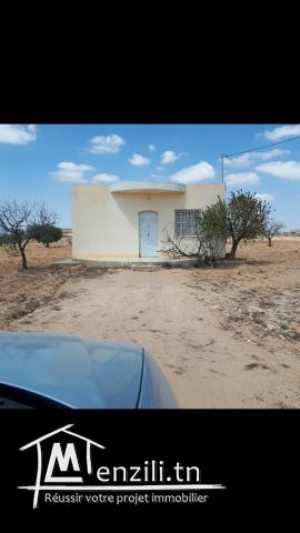 SUPER TERRAIN A VENDRE