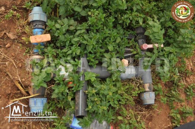 terrain agricole a lebna