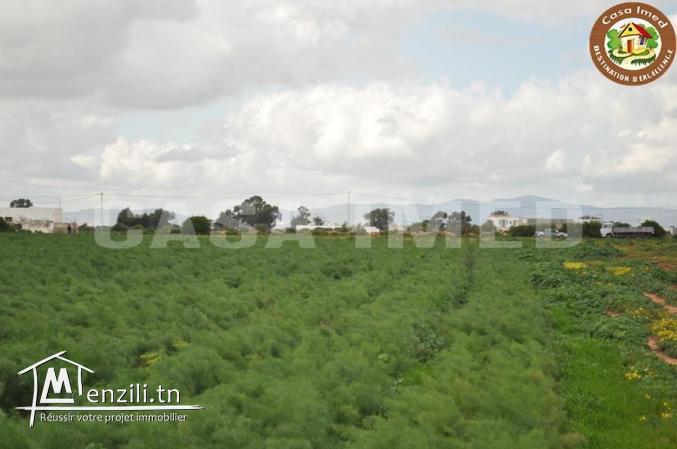 terrain agricole a lebna