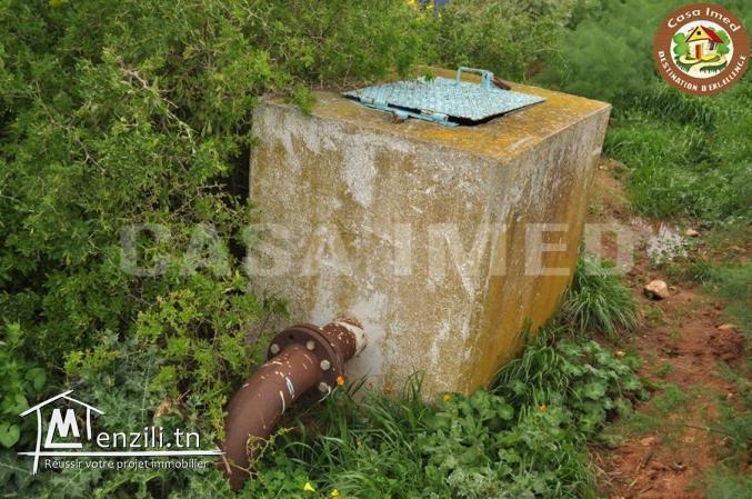 terrain agricole a lebna