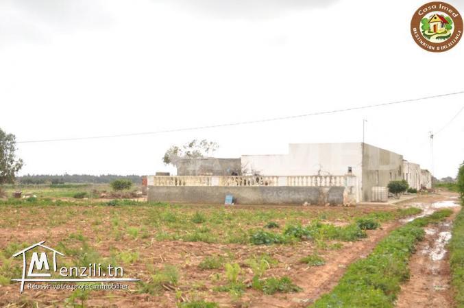 terrain agricole a lebna