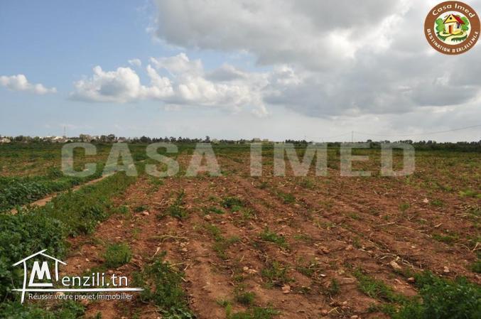 terrain agricole a lebna