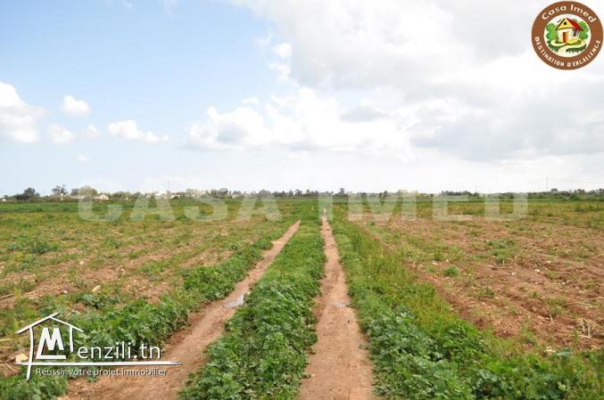 terrain agricole a lebna