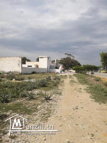 a vendre un beau terrain a 1.5 km de hammamet sud