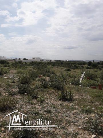 a vendre un beau terrain a 1.5 km de hammamet sud
