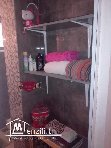 Duplex S+2(70dtpar jour en été)550dt à l 'année