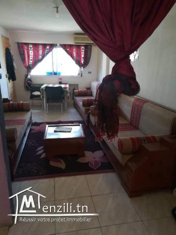 Duplex S+2(70dtpar jour en été)550dt à l 'année