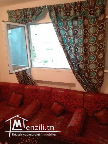 Duplex S+2(70dtpar jour en été)550dt à l 'année