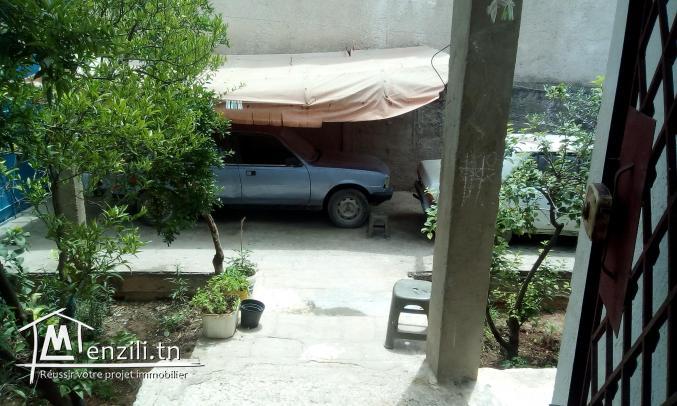 Villa, 2 locals commercial, jardin, et abri de 2 voitures a vendre