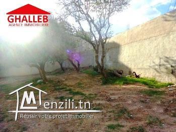 terrain face carrefour 225m²