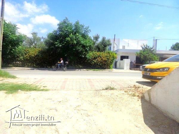 terrain route birbouragba 915m²