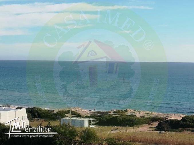 terrain a vendre a el hawaria