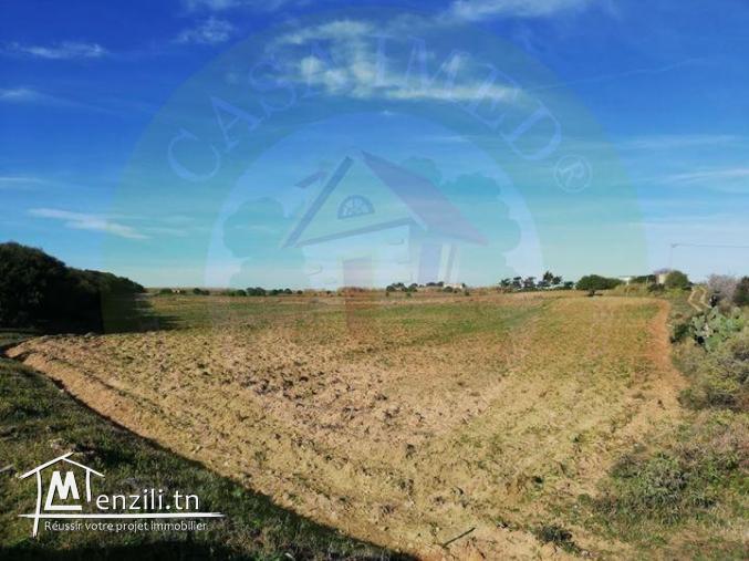 terrain a vendre a el hawaria