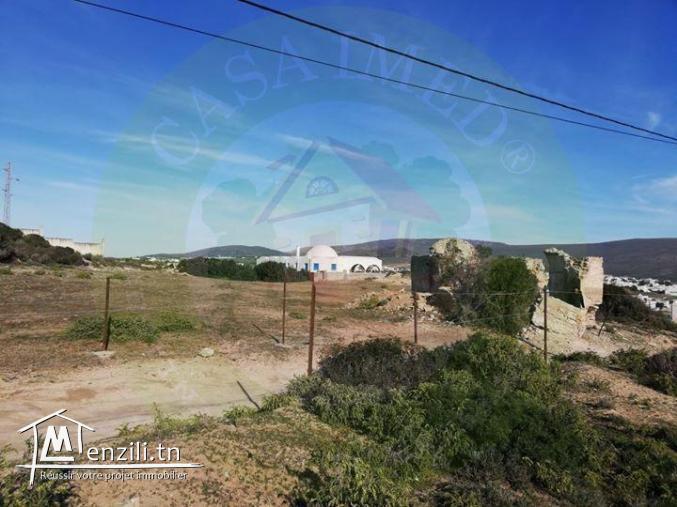 terrain a vendre a el hawaria