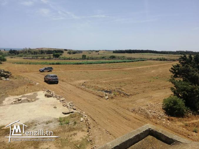 terrain a vendre a el hawaria