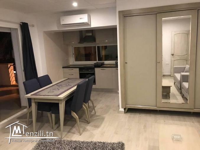 a louer un appartement s+0