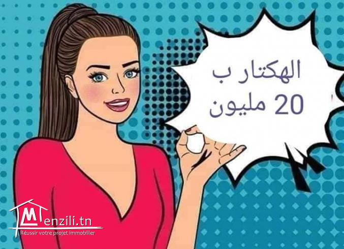 terrain à vendre à zaouiet lmagaiz