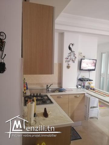 À vendre appartement s +1