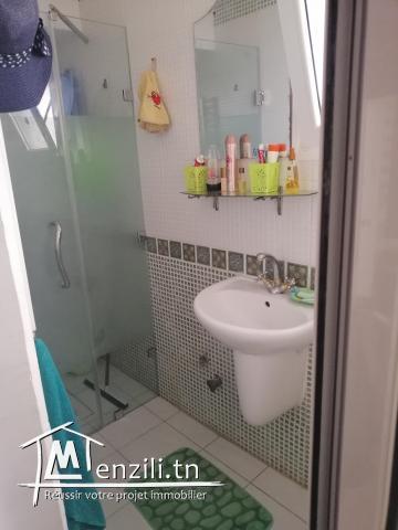 À vendre appartement s +1