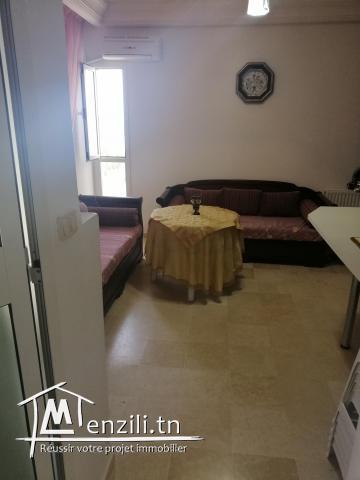 À vendre appartement s +1