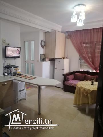 À vendre appartement s +1