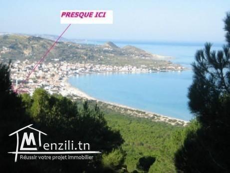 Maison meublée à lehmari rafraf plage