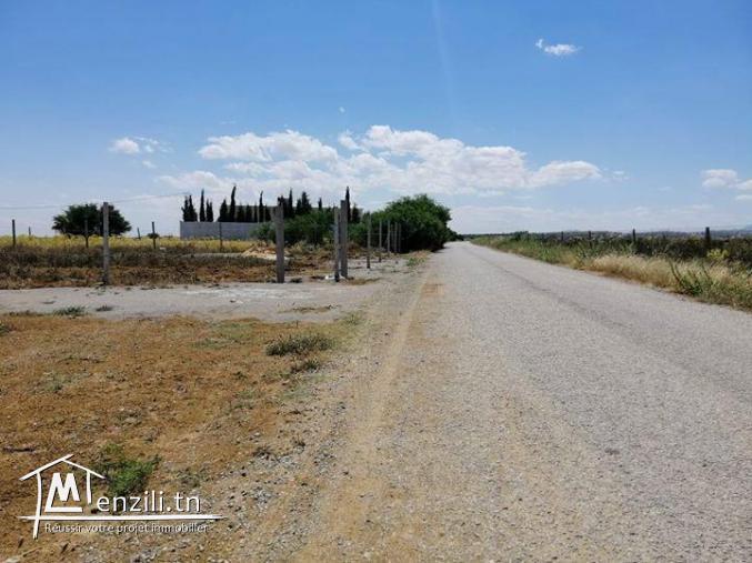 un lot à El haouaria 800 m à la plage