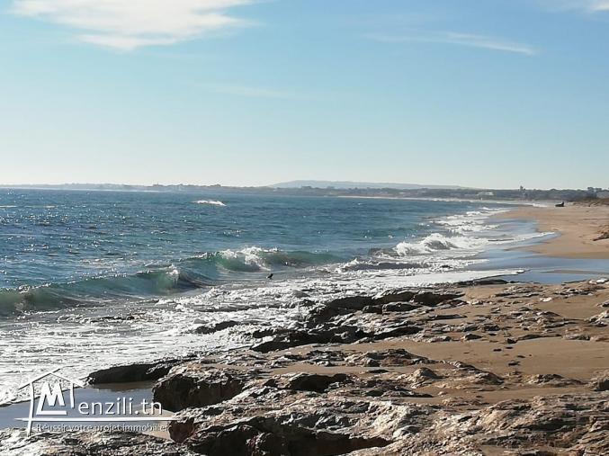 Un terrain à l’HAWARIA,de 300m a 24MD