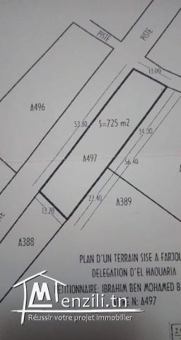 Terrain à Ferjoun (Haouaria) avec maison inachevé