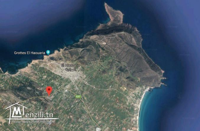 Terrain à Ferjoun (Haouaria) avec maison inachevé