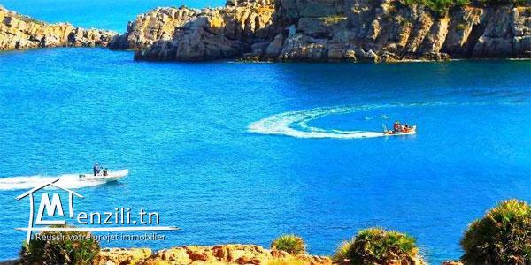 terrain à haouria 300m a 24MD seulement!!!