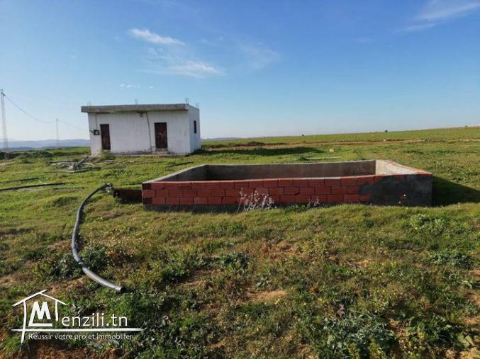 Terrain à vendre à manzel brahim kélibia