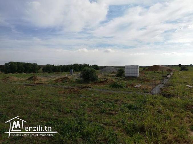 Terrain à vendre à manzel brahim kélibia