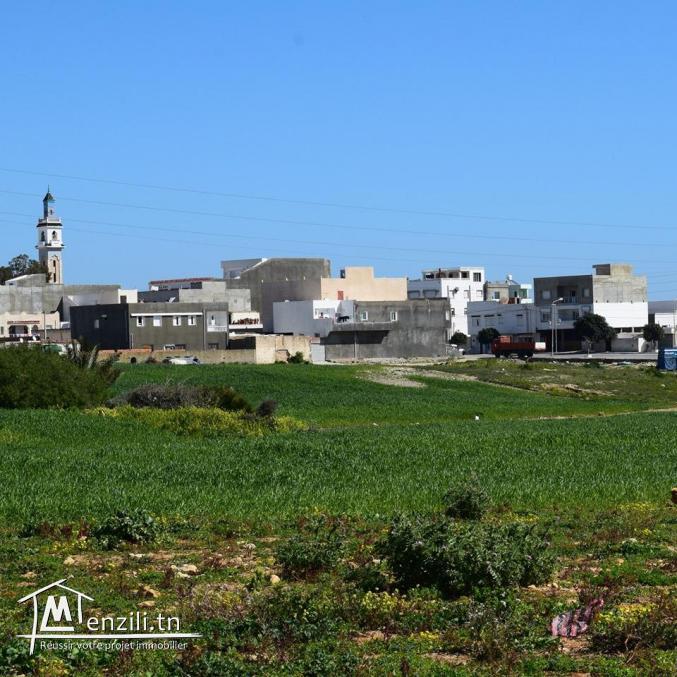 Terrain à vendre à centre ville kélibia