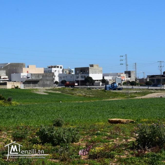 Terrain à vendre à centre ville kélibia