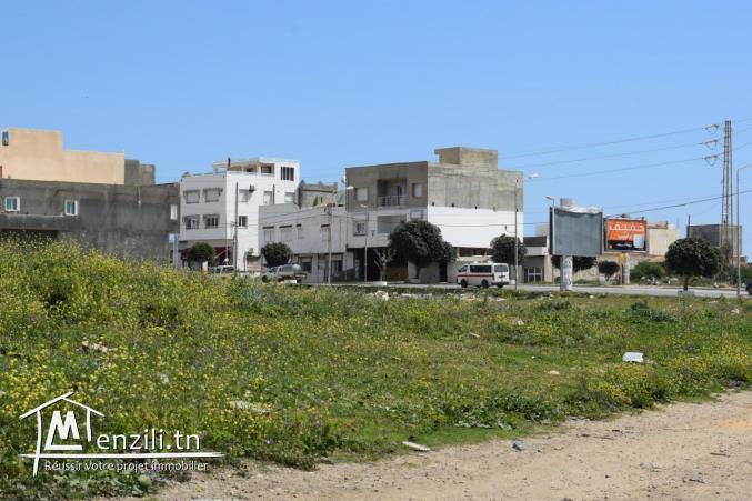Terrain à vendre à centre ville kélibia