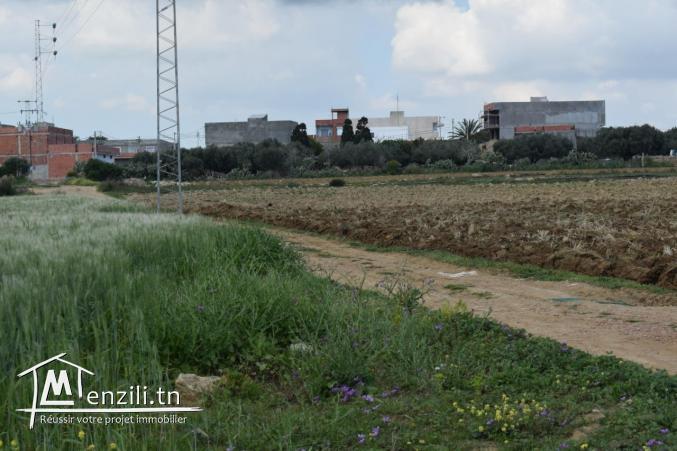 Terrain à vendre à centre ville kélibia de 230 m2
