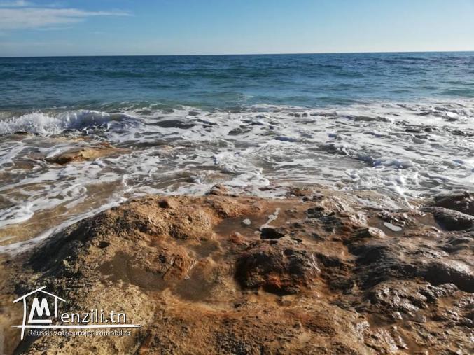 terrain à haouria de 300 m2 prix 24 mille dinars