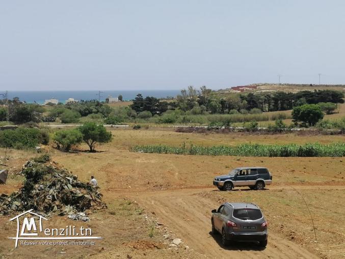 terrain à haouria de 300 m2 prix 24 mille dinars