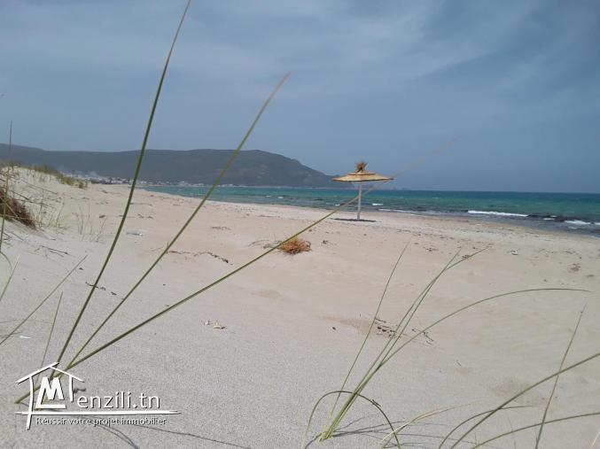 Terrain à vendre à Dar Allouche  kélibia