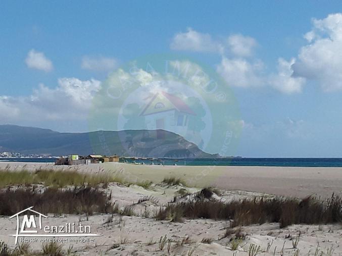 Terrain à vendre à Dar Allouche  kélibia