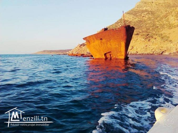 à vendre des lots de terrain 800 m à la plage elhaouria